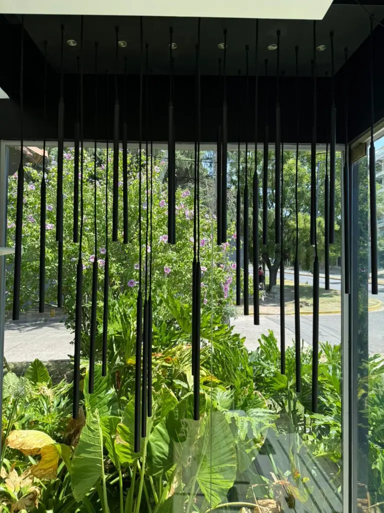 WhatsApp Image 2026-01-26 at 12.01.58.webp