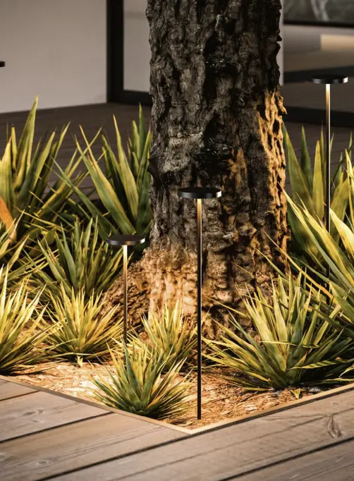 Captura de pantalla 2026-02-04 092443.webp