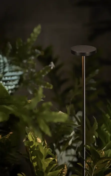 Captura de pantalla 2026-02-04 092414.webp