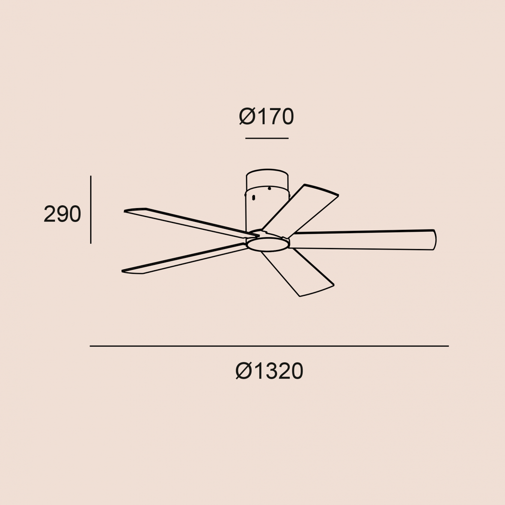 IMGe0223