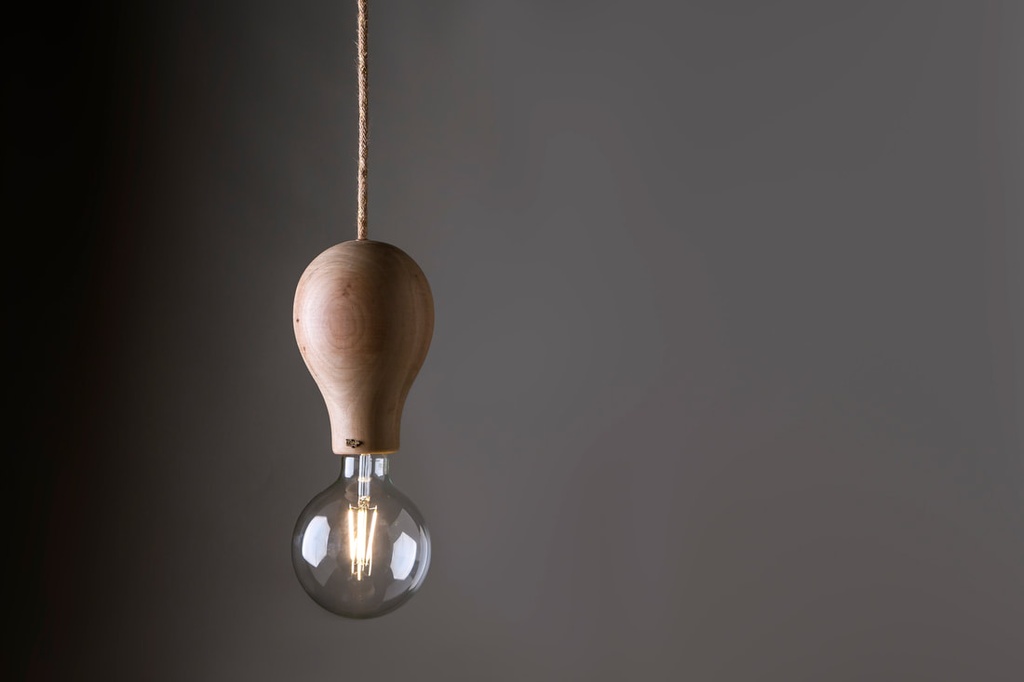Globo Colgante c/Lamp Led Globo G125
