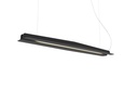 Raya 150 Colgante Enchapado 150Cm Led 23,7W 3000K C/Dif. Acrilico Negro