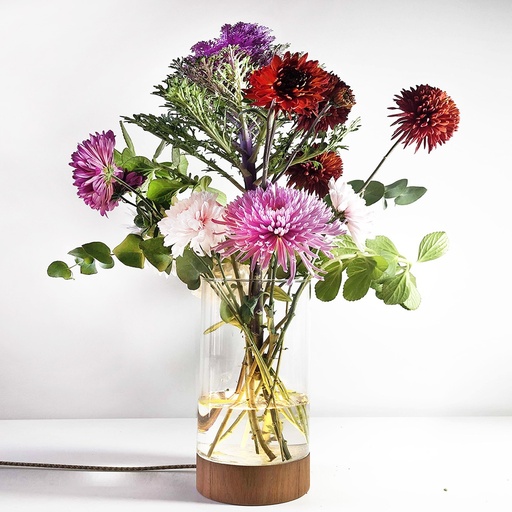 [VERNE CD] Verne Lampara Mesa Madera Cedro/Vidrio Led 6W 2700k Di.13,5xh30cm